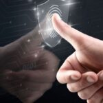 What Companies Should Verify Before Hiring Senior-Level Employees