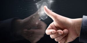 What Companies Should Verify Before Hiring Senior-Level Employees