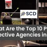 What Are the Top 10 Private Detective Agencies in India?